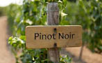 Read: The World&#x27;s Most Wanted Pinot Noirs