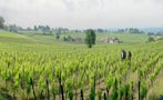 Read: The World's Best Value Bordeaux