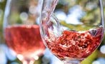 Read: The World&#x27;s Most Wanted Ros&#xE9;s