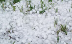 Read: France Greenlights Anti-Hail Nets