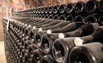 Read: The Life Cycle of Champagne