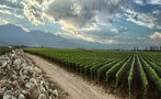 Read: The World's Best Malbecs