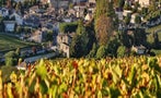 Read: The World's Best Saint-Émilion Wines