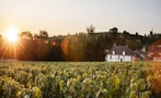 Read: The World's Best Champagnes