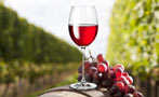 Read: Australia&#x27;s Best Wines