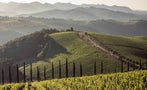 Read: Chianti's Top Tier Hits its Stride