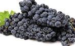 Read: Chianti Classico's Greatest Hits