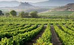 Read: Spain&#x27;s Most Expensive Wines