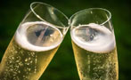 Read: The World&#x27;s Most Expensive Champagne