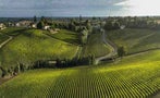 Read: Unicorn Hunting in Bordeaux&#x27;s 2011 Vintage