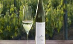 Read: The World's Most Wanted Sauvignon Blancs