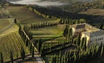 Read: Brunello 2017: The Fruits of Labor