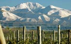Read: The Best Value Wines of Argentina