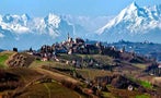 Read: The World's Most Wanted Piedmont Wines