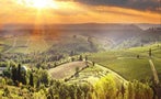 Read: Chianti's Top Tier Grows Up