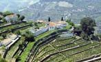 Read: Last Chance to See: A Nacional Treasure