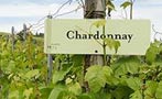 Read: The World&#x27;s Best Chardonnays