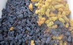 Read: In Praise of Blended Wine