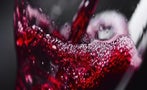 Read: In Search of Elegant Wine