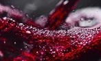 Read: In Search of Elegant Wine