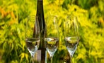Read: Germany's Most Wanted Wines