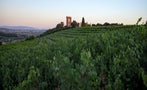 Read: The Rhône's Most Wanted Wines
