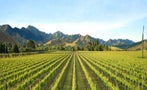 Read: New Zealand's Most Wanted Wines