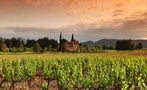 Read: Europe's Most Wanted Wines