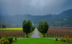 Read: The World's Most Wanted Bordeaux Blends