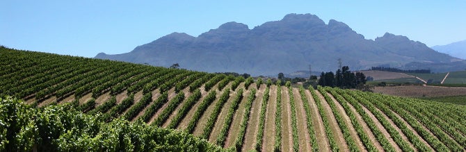 Wine lovers are learning more about producers like Stellenbosch's Neethlinghof.