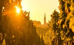 Read: Bordeaux's Most Wanted Wines