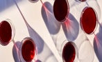 Read: Weighing Up Bordeaux's 2021 Vintage