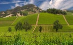 Read: Sonoma's Most Expensive Wines