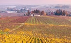 Read: Burgundy's Most Wanted White Wines