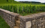 Read: Burgundy's Most Wanted Red Wines