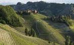 Read: Why We Still Need Classic Barolo