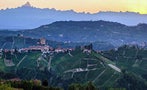 Read: The World's Best Barolos