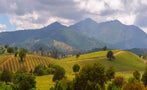 Read: Chilean Whites Bring Coastal Chill