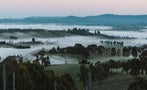 Read: The Best Australian Wines in the World