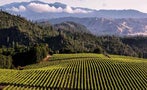 Read: The World's Best California Wines