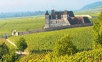 Read: The World's Best Burgundies
