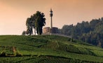 Read: The World's Best Champagnes