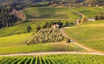 Read: Chianti Rufina Aims for Reputation Upgrade