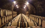 Read: The Greatest Wines in the World