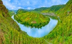 Read: The Most Wanted Rieslings in the World