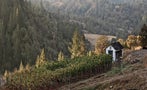 Read: Sonoma's Most Wanted Wines