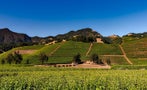 Read: Napa's Most Wanted Wines
