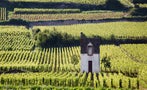 Read: The World's Most Wanted Chardonnays