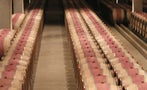 Read: The Most Wanted Wines in the World