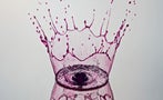 Read: Letting AI Choose the Coronation Wines